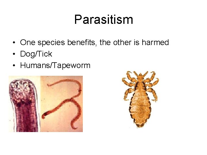 Parasitism • One species benefits, the other is harmed • Dog/Tick • Humans/Tapeworm 