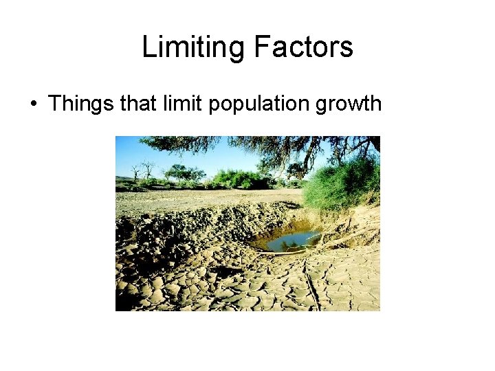 Limiting Factors • Things that limit population growth 