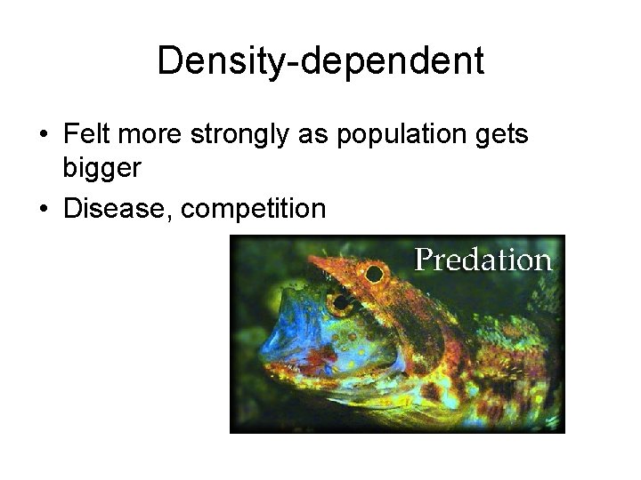 Density-dependent • Felt more strongly as population gets bigger • Disease, competition 