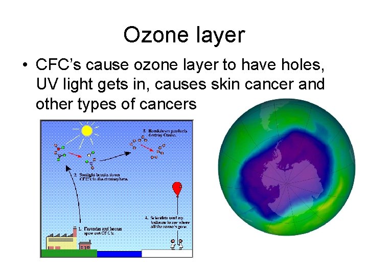 Ozone layer • CFC’s cause ozone layer to have holes, UV light gets in,