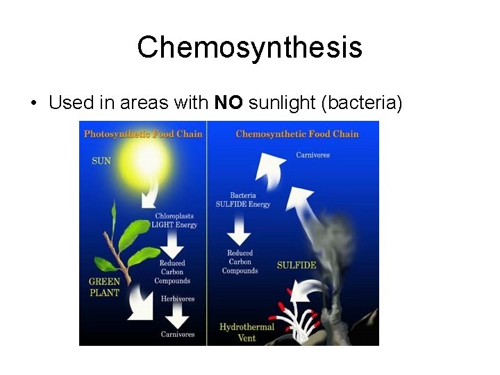 Chemosynthesis • Used in areas with NO sunlight (bacteria) 