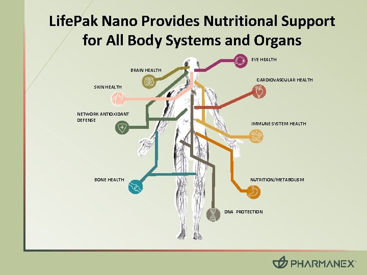 Life. Pak Nano Provides Nutritional Support for All Body Systems and Organs EYE HEALTH