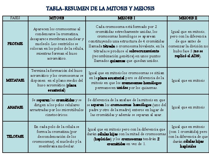 TABLA-RESUMEN DE LA MITOSIS Y MEIOSIS FASES MITOSIS PROFASE Aparecen los cromosomas al condensarse