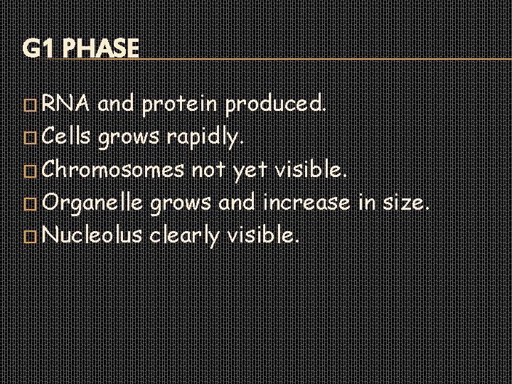 G 1 PHASE � RNA and protein produced. � Cells grows rapidly. � Chromosomes