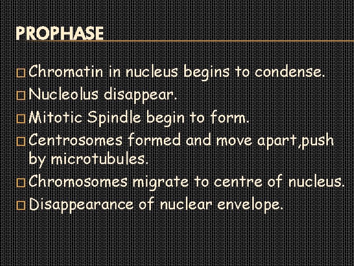 PROPHASE � Chromatin in nucleus begins to condense. � Nucleolus disappear. � Mitotic Spindle