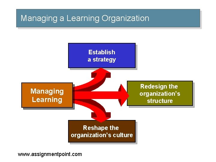 Managing a Learning Organization Establish a strategy Redesign the organization’s structure Managing Learning Reshape