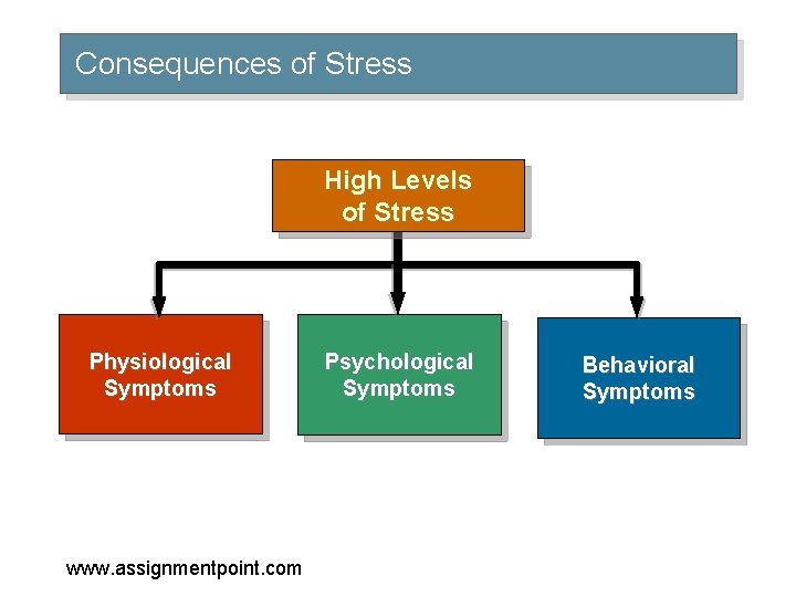 Consequences of Stress High Levels of Stress Physiological Symptoms www. assignmentpoint. com Psychological Symptoms