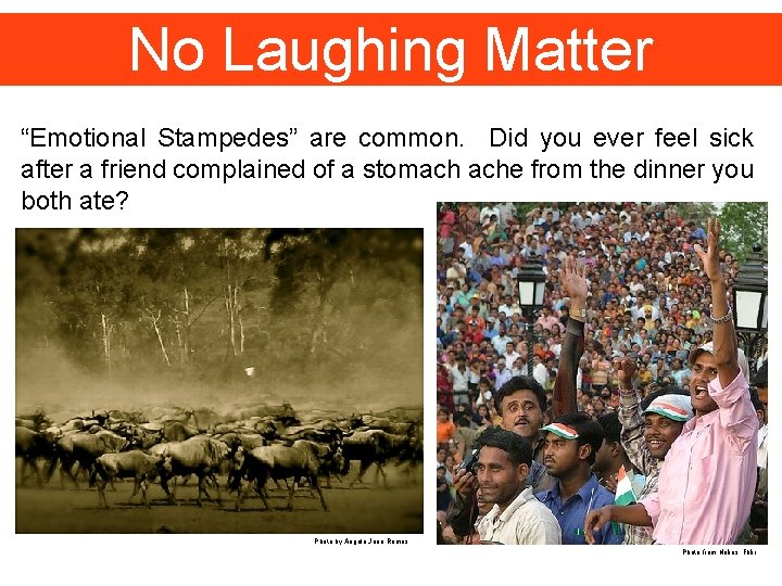 No Laughing Matter “Emotional Stampedes” are common. Did you ever feel sick after a