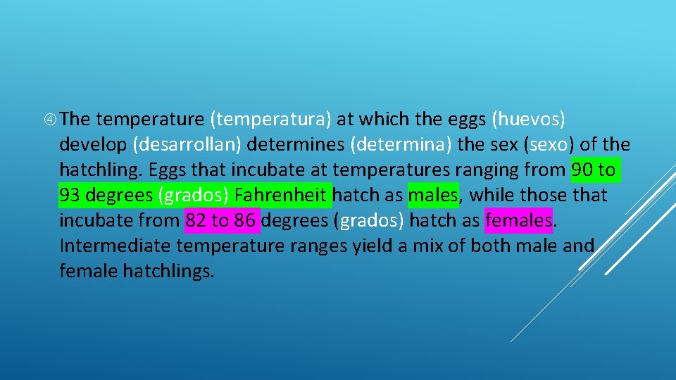  The temperature (temperatura) at which the eggs (huevos) develop (desarrollan) determines (determina) the