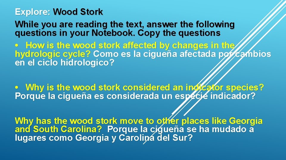 Explore: Wood Stork While you are reading the text, answer the following questions in