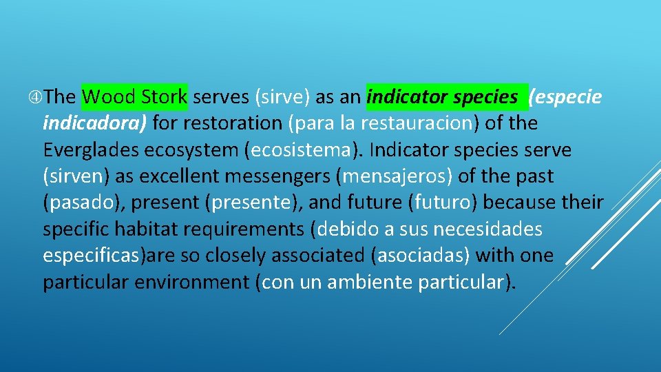  The Wood Stork serves (sirve) as an indicator species (especie indicadora) for restoration