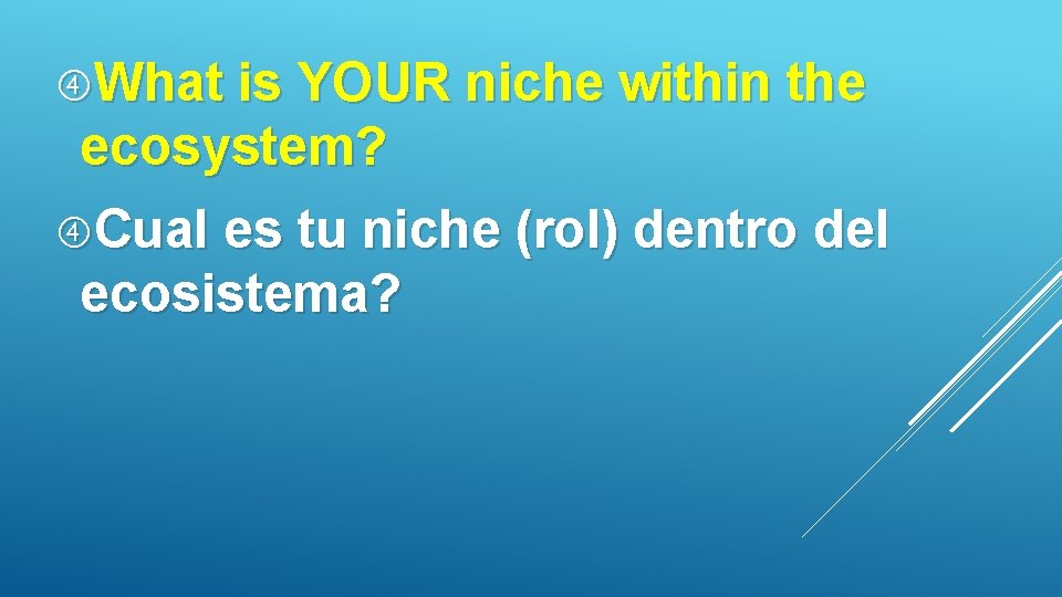  What is YOUR niche within the ecosystem? Cual es tu niche (rol) dentro