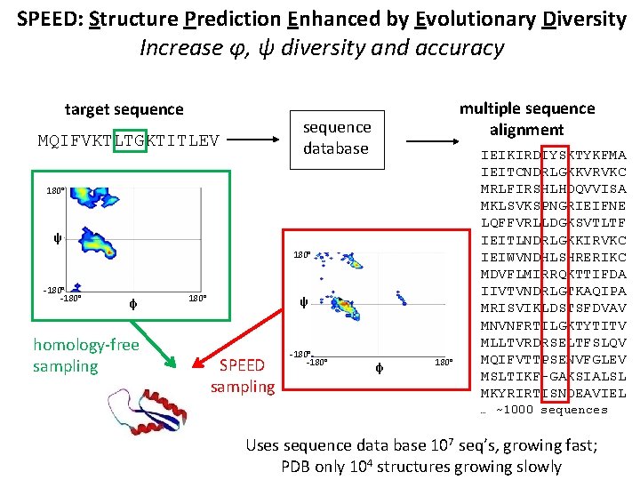 SPEED: Structure Prediction Enhanced by Evolutionary Diversity Increase φ, ψ diversity and accuracy target