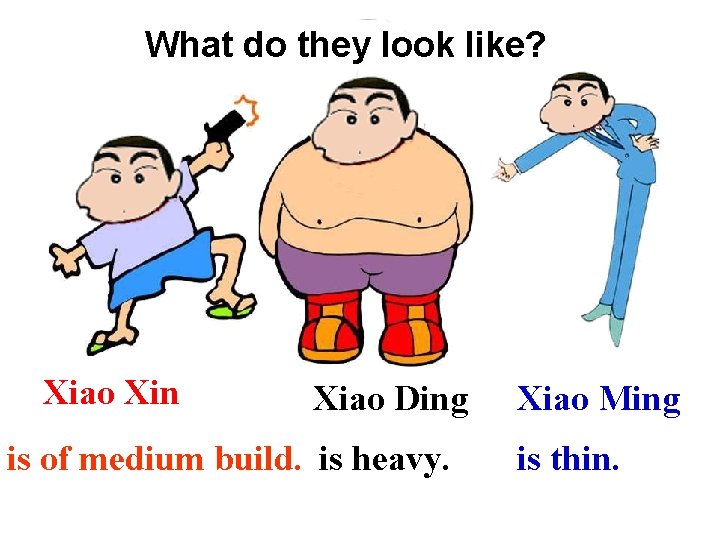 What do they look like? Xiao Xin Xiao Ding is of medium build. is