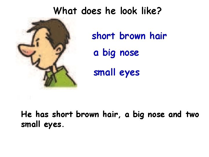 What does he look like? short brown hair a big nose small eyes He