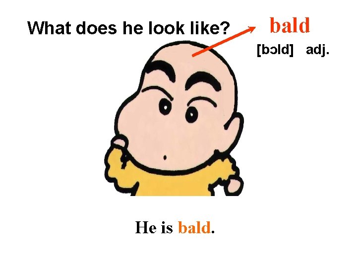What does he look like? bald [bɔld] adj. He is bald. 
