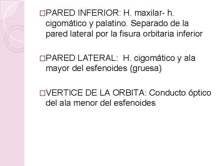 �PARED INFERIOR: H. maxilar- h. cigomático y palatino. Separado de la pared lateral por