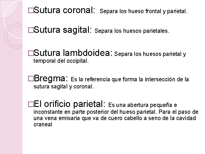 �Sutura coronal: �Sutura sagital: Separa los huesos parietales. �Sutura lambdoidea: Separa los huesos parietal