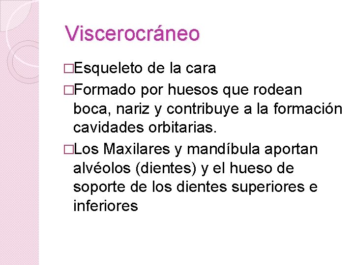 Viscerocráneo �Esqueleto de la cara �Formado por huesos que rodean boca, nariz y contribuye