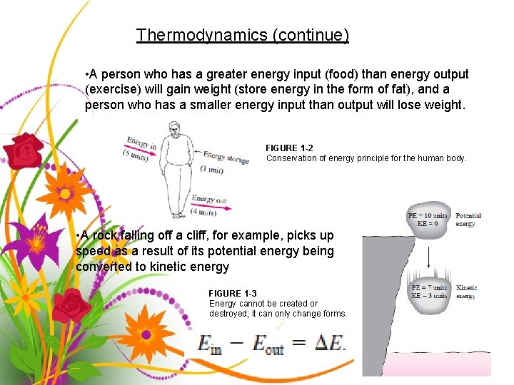Thermodynamics (continue) • A person who has a greater energy input (food) than energy