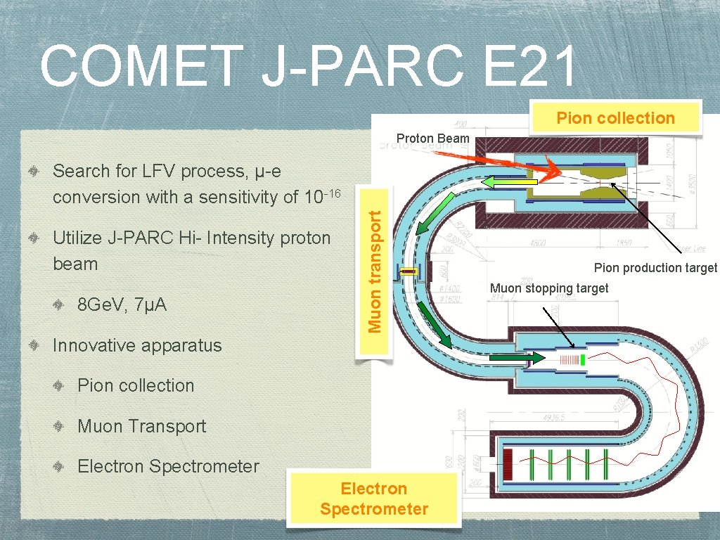 COMET J-PARC E 21 Pion collection Proton Beam Utilize J-PARC Hi- Intensity proton beam