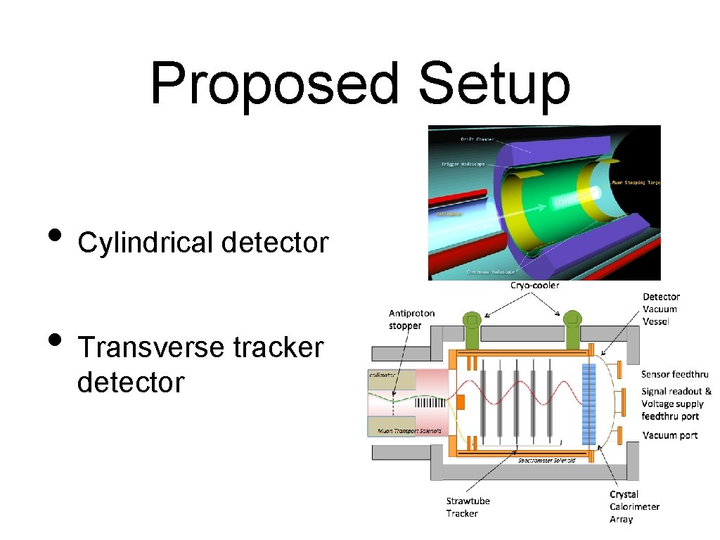 Proposed Setup • Cylindrical detector • Transverse tracker detector 