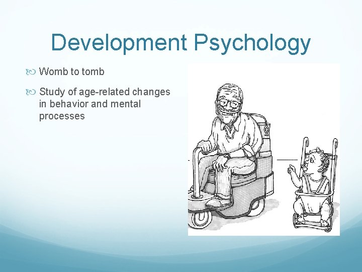 Development Psychology Womb to tomb Study of age-related changes in behavior and mental processes