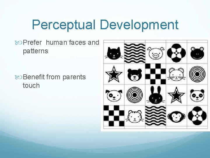 Perceptual Development Prefer human faces and patterns Benefit from parents touch 