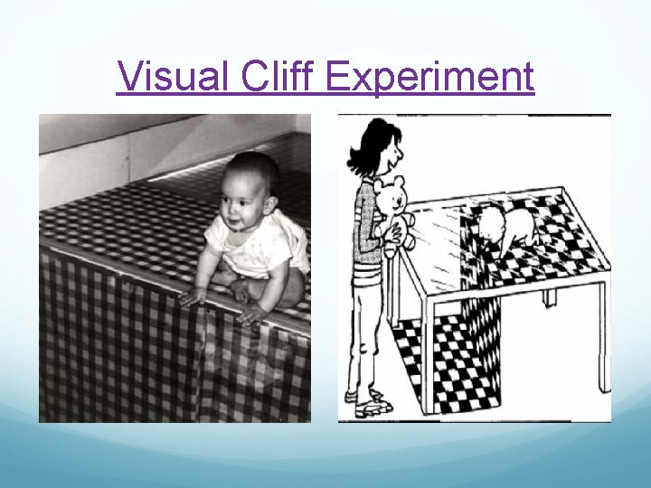 Visual Cliff Experiment 