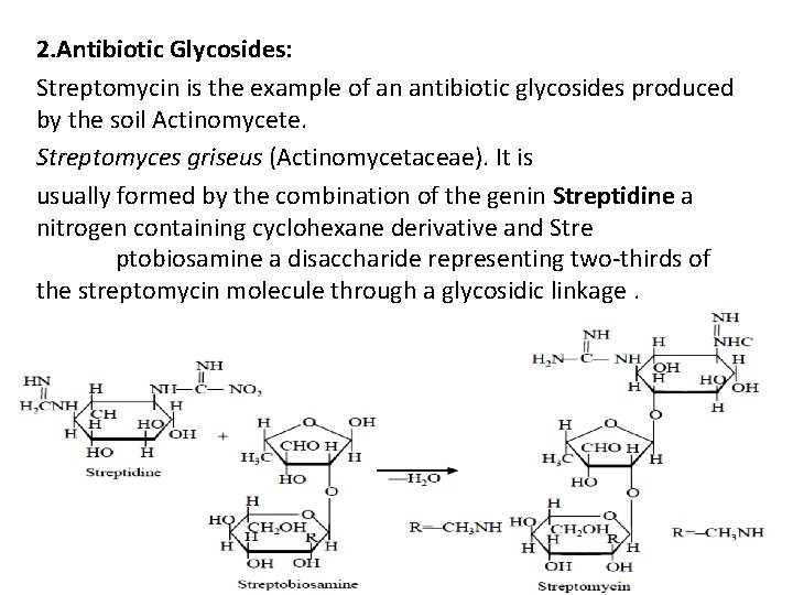 2. Antibiotic Glycosides: Streptomycin is the example of an antibiotic glycosides produced by the