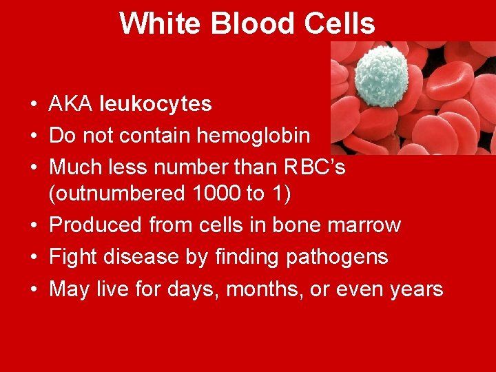 White Blood Cells • AKA leukocytes • Do not contain hemoglobin • Much less