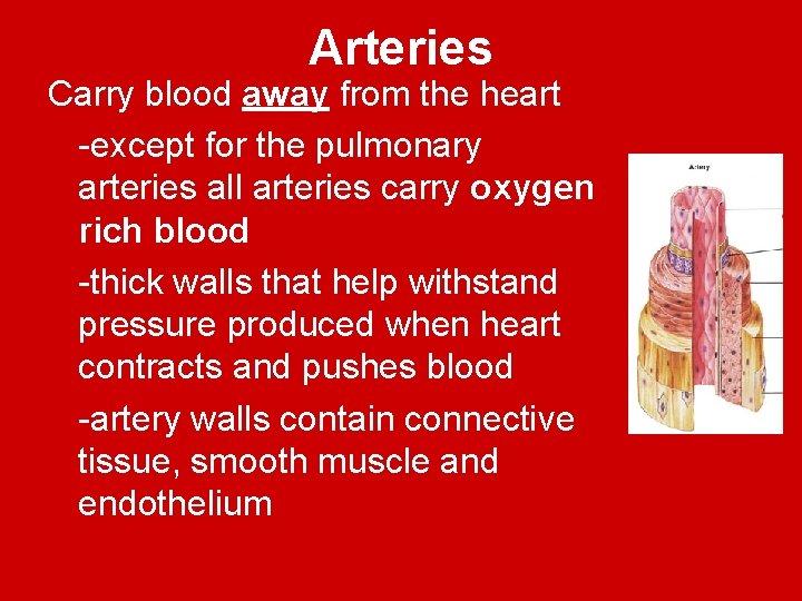 Arteries Carry blood away from the heart -except for the pulmonary arteries all arteries