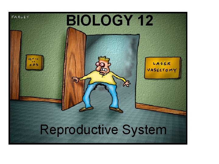 BIOLOGY 12 Reproductive System 