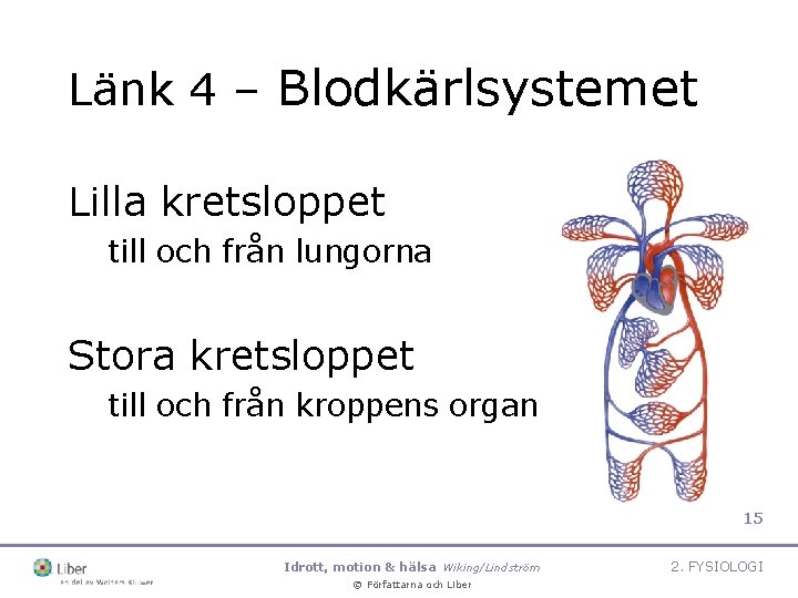 Länk 4 – Blodkärlsystemet Lilla kretsloppet till och från lungorna Stora kretsloppet till och