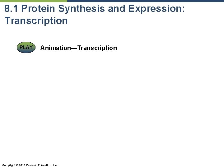 8. 1 Protein Synthesis and Expression: Transcription PLAY Animation—Transcription Copyright © 2010 Pearson Education,