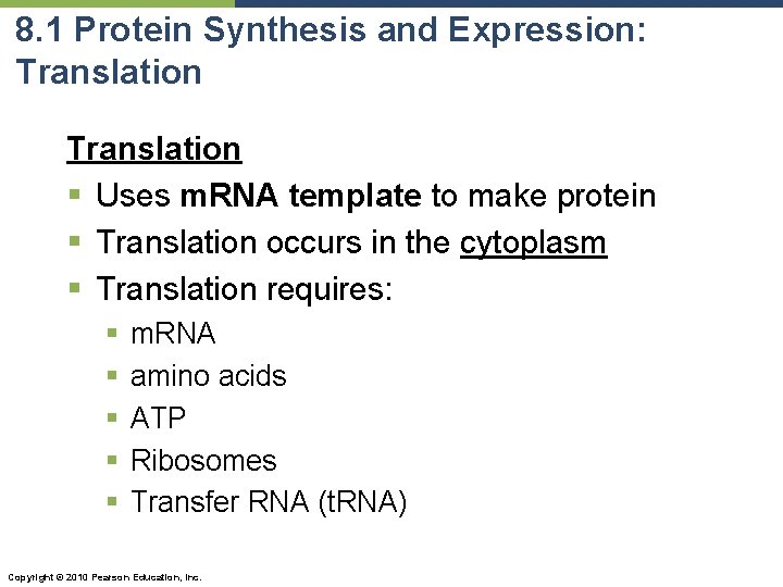 8. 1 Protein Synthesis and Expression: Translation § Uses m. RNA template to make