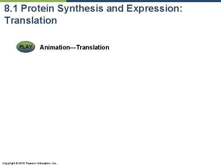 8. 1 Protein Synthesis and Expression: Translation PLAY Animation—Translation Copyright © 2010 Pearson Education,