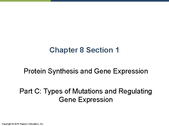 Chapter 8 Section 1 Protein Synthesis and Gene Expression Part C: Types of Mutations