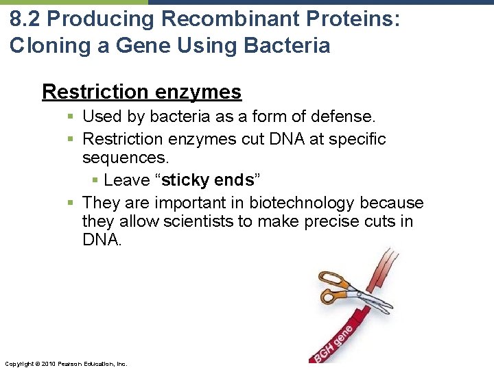 8. 2 Producing Recombinant Proteins: Cloning a Gene Using Bacteria Restriction enzymes § Used