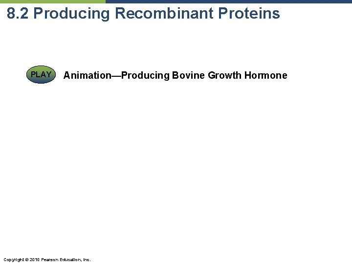 8. 2 Producing Recombinant Proteins PLAY Animation—Producing Bovine Growth Hormone Copyright © 2010 Pearson