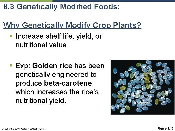 8. 3 Genetically Modified Foods: Why Genetically Modify Crop Plants? § Increase shelf life,