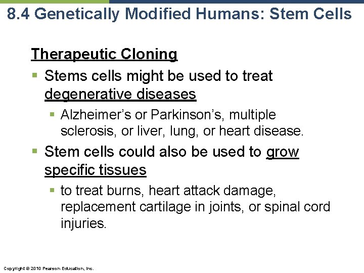 8. 4 Genetically Modified Humans: Stem Cells Therapeutic Cloning § Stems cells might be