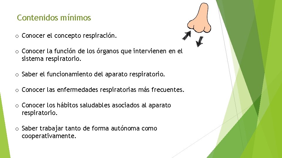 Contenidos mínimos o Conocer el concepto respiración. o Conocer la función de los órganos