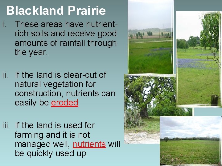 Blackland Prairie i. These areas have nutrientrich soils and receive good amounts of rainfall