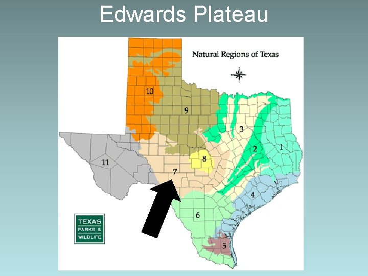 Edwards Plateau 