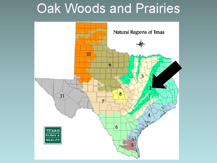 Oak Woods and Prairies 