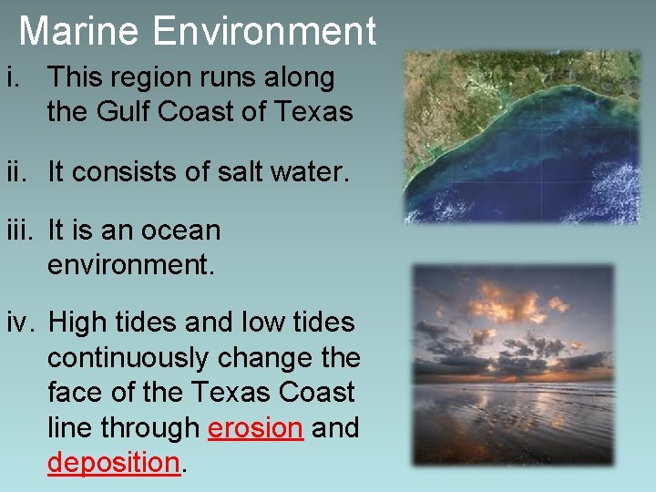 Marine Environment i. This region runs along the Gulf Coast of Texas ii. It