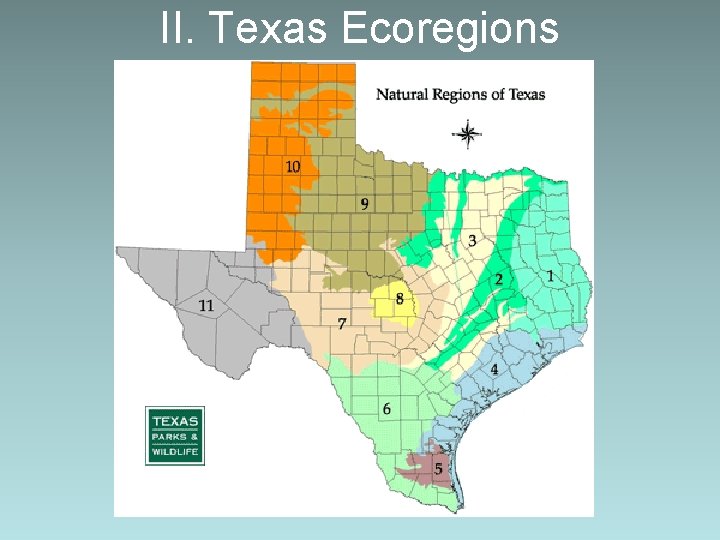 II. Texas Ecoregions 