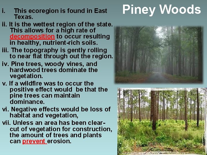 i. This ecoregion is found in East Texas. ii. It is the wettest region