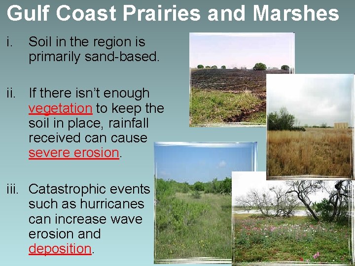 Gulf Coast Prairies and Marshes i. Soil in the region is primarily sand-based. ii.